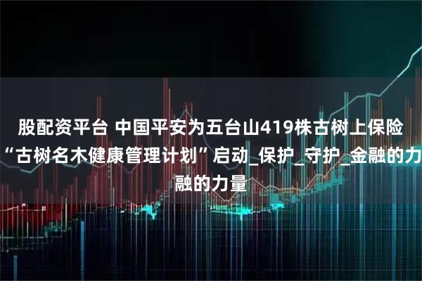 股配资平台 中国平安为五台山419株古树上保险，“古树名木健康管理计划”启动_保护_守护_金融的力量