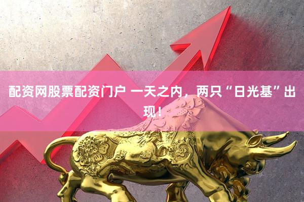 配资网股票配资门户 一天之内，两只“日光基”出现！